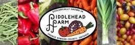 Welcome to Fiddlehead Farm!