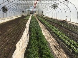 Farm Happenings for March 17, 2020