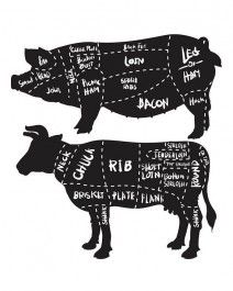 Week 11 Winter/Spring 2020 Meat Share (Beef, Pork, Chicken): Cooper's CSA Farm Happenings