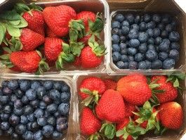 Regional Berry Farm Realities... Yes, Mold Happens