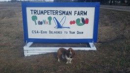 Farm Happenings for Week of May 17, 2020