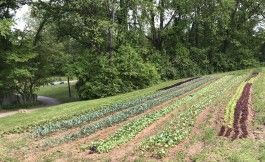 Farm Happenings for May 30, 2020
