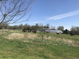 Meat Farm Happenings for May 26, 2020