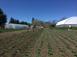 Farm Happenings for May 28, 2020