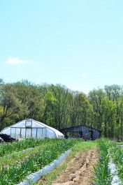 Farm Stand Pop-Up Happening July 17