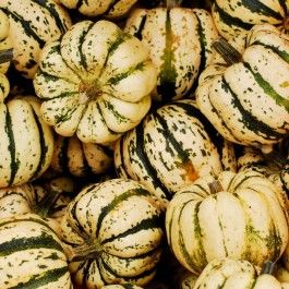 Online Farm Stand: October 21-24, 2020
