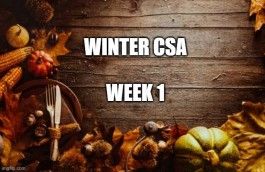 Winter CSA Week 1