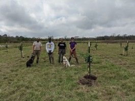 Planting trees and giving thanks