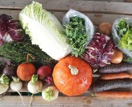 Farm Happenings for 12/7/20: Auto-Renew for Winter Bounty Shares Starts 12/7 & Update from Dig Deep Farm