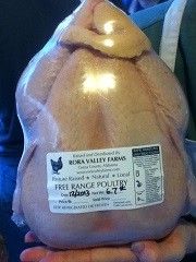 Pasture-Raised Meat Chickens now Available!