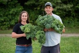 Sign up for Veggie Boxes Open Now. Taste the difference with delicious, vibrant veggies from Bluebird Farm!