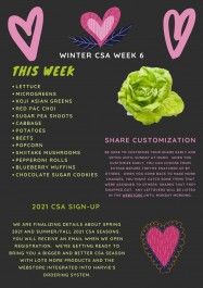 Winter CSA Week 6