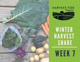 Winter Harvest Share - Week 7
