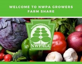 Welcome to NWPA Growers CSA!