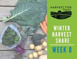 **LAST** Winter Harvest Share - Week 8