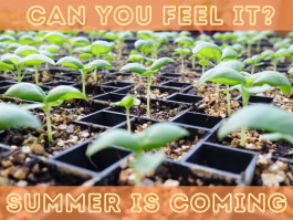 Week 8: Summer Season Starts in 3 weeks!