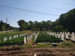 A look at the new Atlanta Harvest