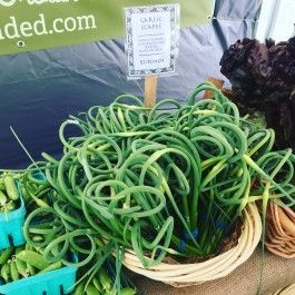 GARLIC SCAPES ARE HERE