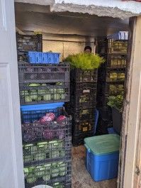 Online Farm Stand July 20