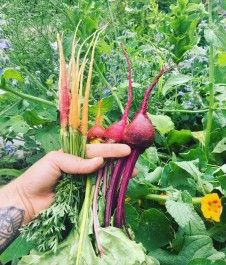 Farm Happenings 8/2/21: New Product Offerings / Update from South Paw Farm