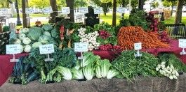 Lettuce Rejoice! September 30, 2021- The Power of Food