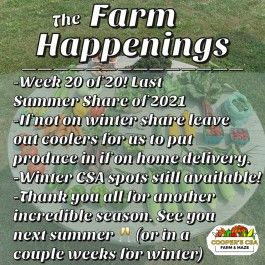 Cooper's CSA Farm Summer 2021 Week 20 "The Farm Box" Oct.19-24th, 2021