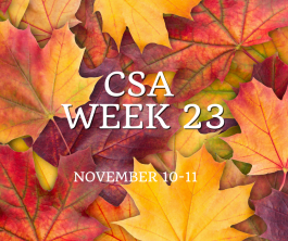 CSA Week 23 November 10-11