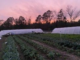 Farm Stand and Farm Share Renewals