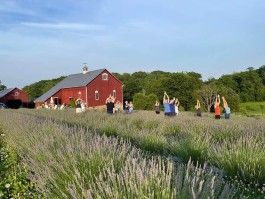 Happy Summer! Farm Happenings for week of June 24