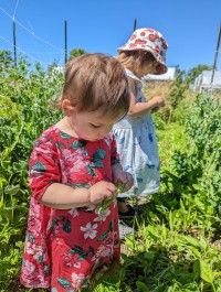 2022 Farm Share Week 4 - Welcome Summer