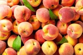Palisade peaches are here! July 15, 2022