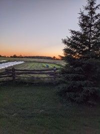 2022 Farm Share Week 11 - In the Weeds