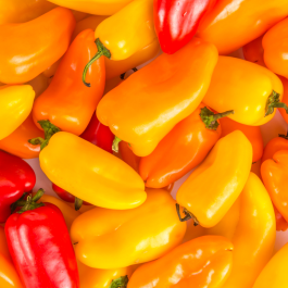 August heat brings peppers sweet!
