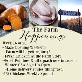 "The Farm Box"-Coopers CSA Farm Farm Happenings Sept. 20th-27th