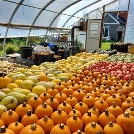 Farm Happenings for Week of October 17