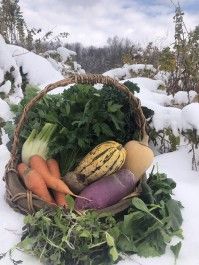 Farm Happening Nov 24 - Welcome Winter