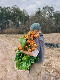 Farm Happenings for February 6th Week