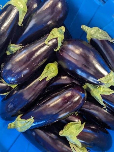 Bok Choy, Potatoes, Leeks, Eggplant + more!